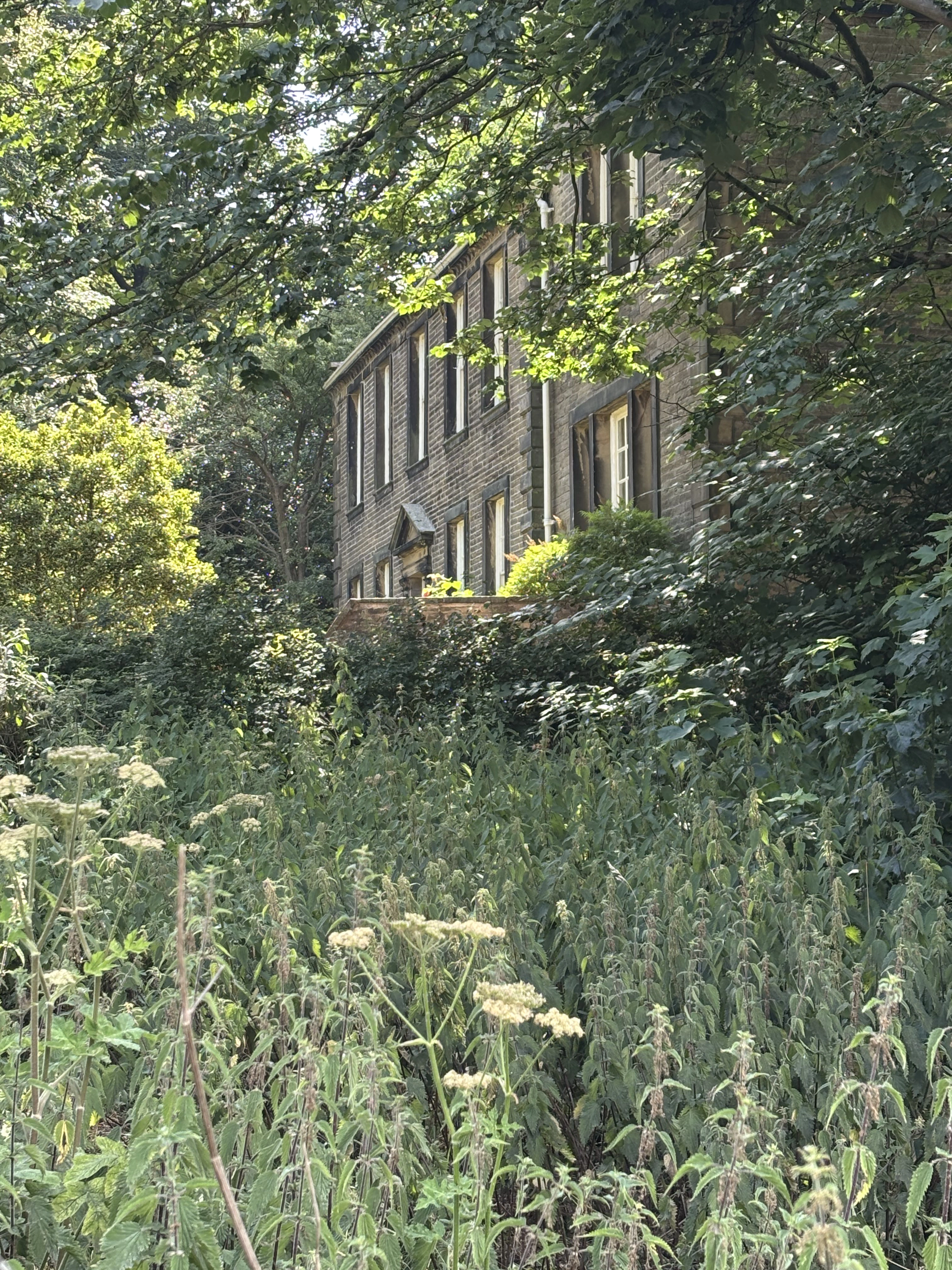 Golden light over Brontë Country on a private literary tour from York